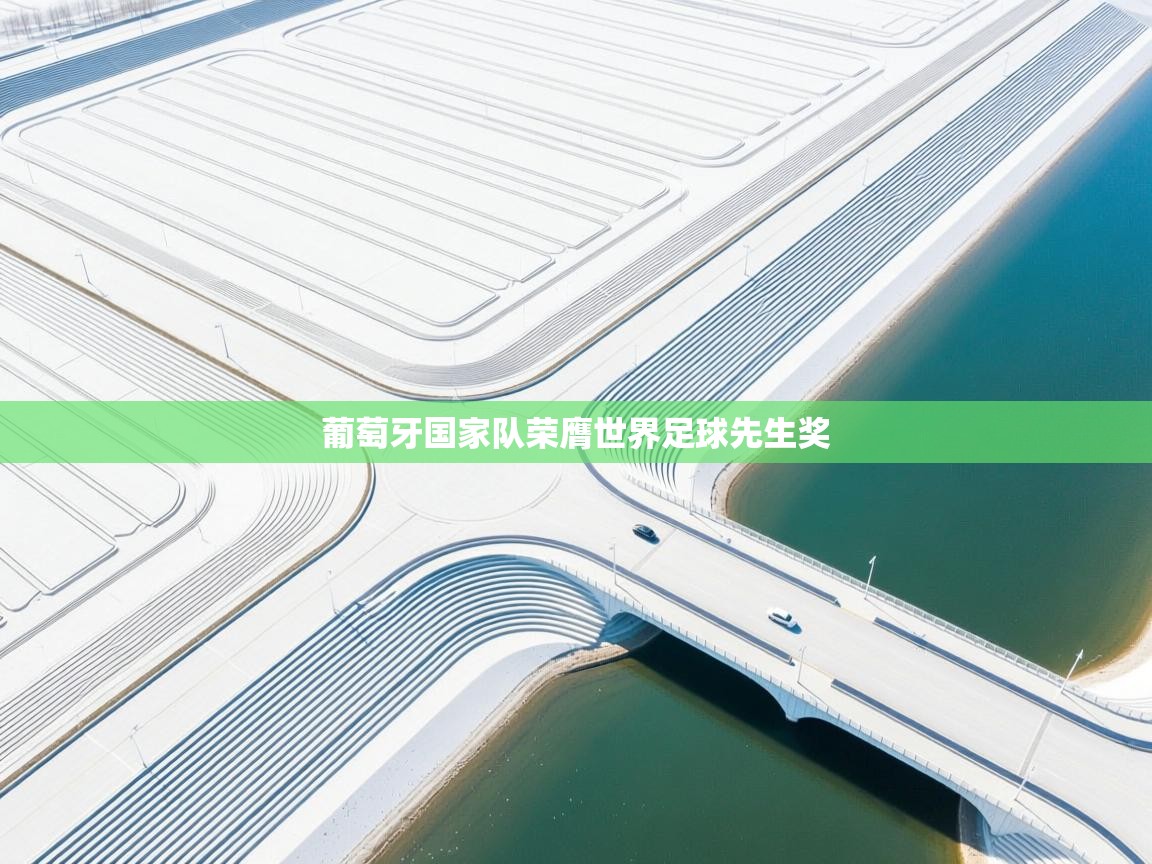 葡萄牙国家队荣膺世界足球先生奖  第2张